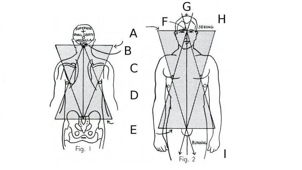 یومی هو تراپی چیست؟